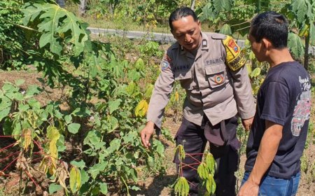 Bhabinkamtibmas Desa Kaligunting Dorong Pemanfaatan Pekarangan Pangan Bergizi untuk Dukung Ketahanan Pangan Nasional