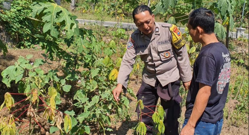Bhabinkamtibmas Desa Kaligunting Dorong Pemanfaatan Pekarangan Pangan Bergizi untuk Dukung Ketahanan Pangan Nasional