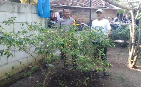 Bhabinkamtibmas Desa Sumbersari Dorong Pemanfaatan Pekarangan Cabai untuk Mendukung Ketahanan Pangan