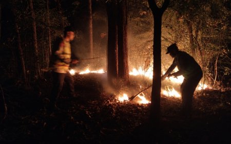 Respon Cepat Laporan Call Center 110, Polsek Kedunggalar Berhasil Padamkan Kebakaran Lahan di Ngawi