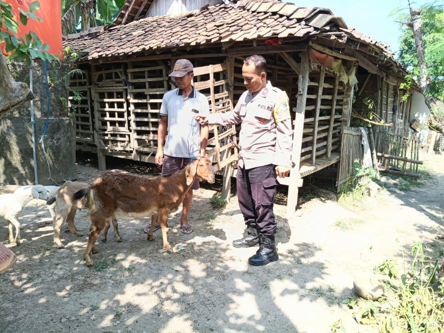 Bhabinkamtibmas Polres Madiun Dorong Ketahanan Pangan melalui Pembinaan Peternak Kambing di Desa Banaran