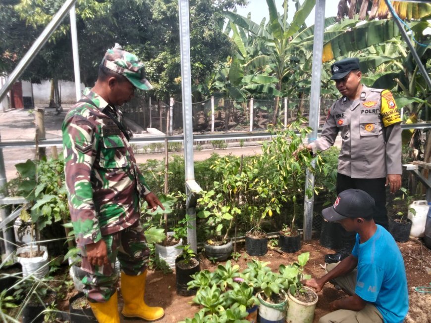 Bhabinkamtibmas Desa Ngadirejo Dorong Pemanfaatan Pekarangan untuk Mendukung Program Ketahanan Pangan