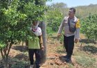 Bhabinkamtibmas Ajak Warga Konsisten Menjaga Ketahanan Pangan