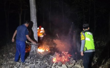 Respons Cepat, Polsek Widodaren dan Tim Gabungan Padamkan Titik Api Karhutla di Ngawi