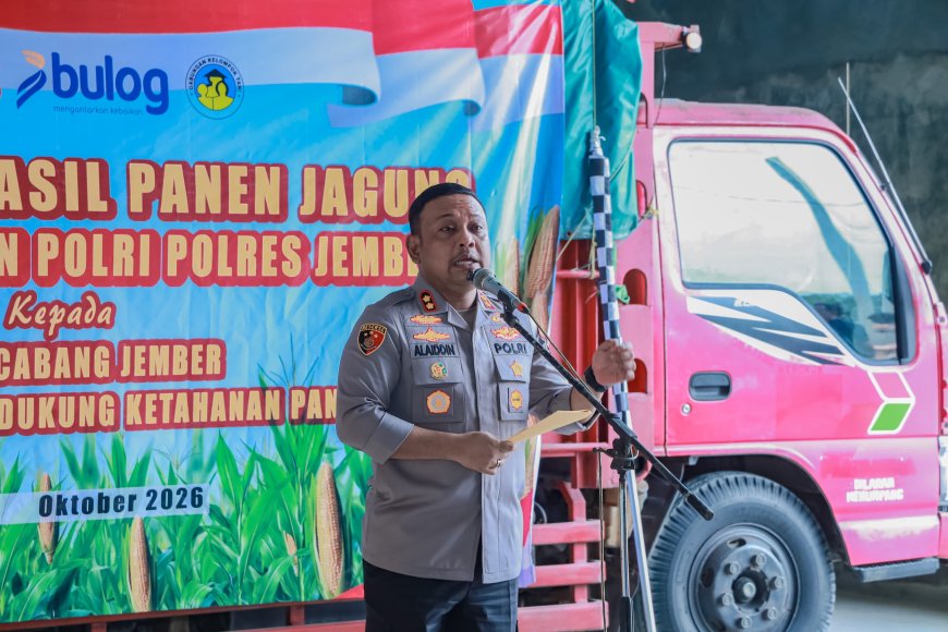 Dukung Ketahanan Pangan, Polres Jember Gandeng Bulog Serap Hasil Panen Jagung Petani Puger
